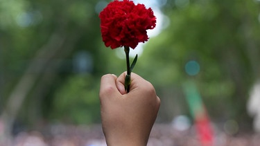  25.04.2024, Portugal, Lissabon: Eine Person hebt eine Faust mit einer roten Nelke in der Hand, während die Menschen den 50. Jahrestag der "Nelkenrevolution" zu feiern.  | Bild: dpa-Bildfunk